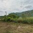  Land for sale in Nakhon Ratchasima, Nong Nam Daeng, Pak Chong, Nakhon Ratchasima