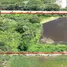  Земельный участок for sale in Ban Ko, Samut Sakhon, Ban Ko