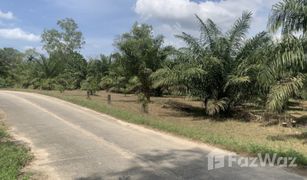 N/A Grundstück zu verkaufen in Bang Muang, Phangnga 
