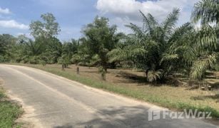 N/A Land for sale in Bang Muang, Phangnga 