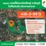  Land for sale in Khok Sung, Chaiyaphum, Khok Sung
