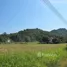  Land for sale in Thailand, Mittraphap, Muak Lek, Saraburi, Thailand