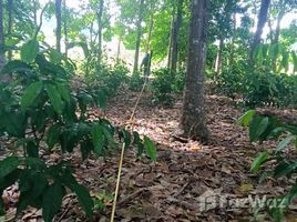  Terreno (Parcela) en venta en Phuket Town, Phuket, Rawai, Phuket Town