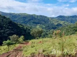 Land for sale in Chiriqui, Gualaca, Gualaca, Chiriqui