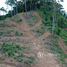  Land for sale in Phuket Town, Phuket, Ratsada, Phuket Town