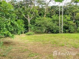 Alajuela Land for Sale in San Carlos N/A 土地 售 