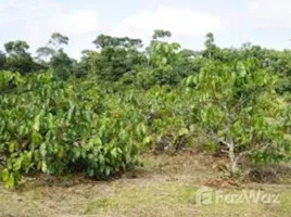  Terreno (Parcela) en venta en Autazes, Amazonas, Autazes