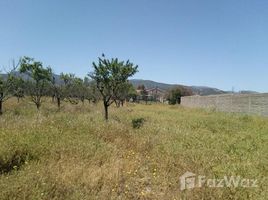  Terreno (Parcela) en venta en Zapallar, Puchuncavi, Valparaíso