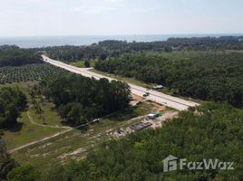 ขายที่ดิน ใน โคกกลอย, พังงา, โคกกลอย, ตะกั่วทุ่ง