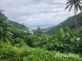  Grundstück zu verkaufen in Koh Samui, Surat Thani, Maret, Koh Samui