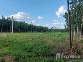  Terrain for sale in Maenam Khu, Pluak Daeng, Maenam Khu