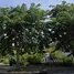  Land for sale in Khlong Thanon, Bangkok, Khlong Thanon