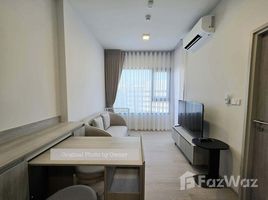 อพาร์ทเม้นท์ 1 ห้องนอน ให้เช่า ในโครงการ โค้บบ์ เกษตร – ศรีปทุม, ลาดยาว, จตุจักร