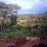  Grundstück zu verkaufen in Calobre, Veraguas, El Cocla, Calobre, Veraguas