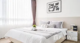 ยูนิตมือสองและให้เช่า