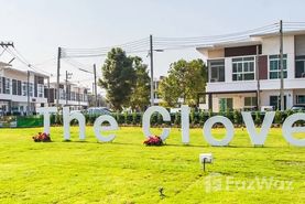 The Clover Townhome Project in Pa Daet, Chiang Mai 