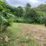  Land for sale in Costa Rica, San Mateo, Alajuela, Costa Rica