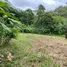  Terrain for sale in San Mateo, Alajuela, San Mateo