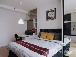 คอนโด สตูดิโอ ให้เช่า ในโครงการ ดิ แอลโคฟ ทองหล่อ, คลองตันเหนือ