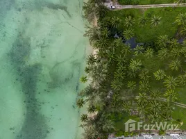  Grundstück zu verkaufen in Koh Samui, Surat Thani, Ang Thong