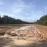  Land for sale in Thung Takhrai, Chumphon, Thung Takhrai, Thung Tako, Chumphon