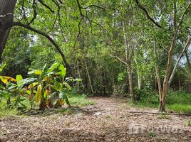  Grundstück zu verkaufen in Ko Pha-Ngan, Surat Thani, Ko Pha-Ngan, Ko Pha-Ngan