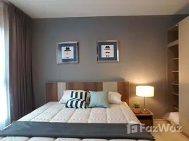 1 Bedroom Condo for rent at Life Sukhumvit 48, Phra Khanong, Khlong Toei