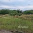  Land for sale in Ban Laem, Phetchaburi, Laem Phak Bia, Ban Laem