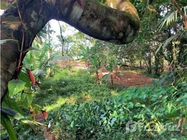  Terreno (Parcela) en venta en Panamá, Bastimentos, Bocas del Toro, Bocas del Toro, Panamá