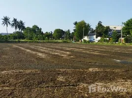  토지을(를) 크라 툼 롬, 샘 프란에서 판매합니다., 크라 툼 롬