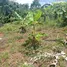 Grundstück zu verkaufen in Las Terrenas, Samana, Las Terrenas, Samana, Dominikanische Republik