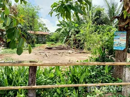  Land for sale in Sawai, Prang Ku, Sawai