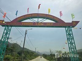  Terrain for sale in Da Nang, Hoa Lien, Hoa Vang, Da Nang