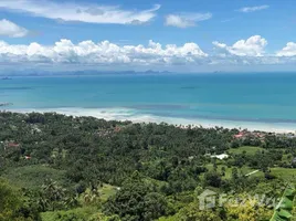  Grundstück zu verkaufen in Koh Samui, Surat Thani, Ang Thong