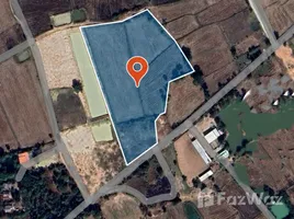 ขายที่ดิน ใน โตนด, นครราชสีมา, โตนด