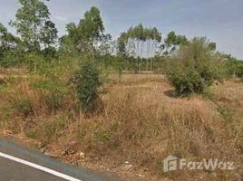  Land for sale in Thailand, Wang Takhian, Kabin Buri, Prachin Buri, Thailand