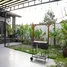 3 Habitación Casa en alquiler en Nai Hien Dong, Da Nang, Nai Hien Dong