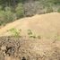  Land for sale in Costa Rica, Santa Cruz, Guanacaste, Costa Rica