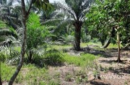  bedroom Land for sale at in Johor, Malaysia