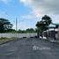  Land for sale in Pococi Limon, Pococi, Limon