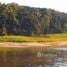  Terrain for sale in Amazonas, Bagua, Amazonas