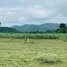  Land for sale in Cha-Am Phetchaburi, Rai Mai Phatthana, Cha-Am, Phetchaburi
