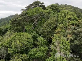  Land for sale in Surat Thani, Koh Tao, Koh Phangan, Surat Thani