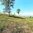  Terreno (Parcela) en venta en Costa Rica, Pérez Zeledón, San José, Costa Rica