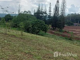  Grundstück zu verkaufen in Khao Kho, Phetchabun, Thung Samo, Khao Kho, Phetchabun, Thailand