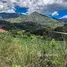  Terrain for sale in Quinara, Loja, Quinara