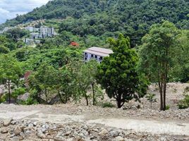 Land for sale in Kathu, Phuket, Patong, Kathu