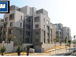 Studio Apartment for sale at The Village, South Investors Area