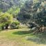 2 Bedroom House for sale in Loei, Puan Phu, Nong Hin, Loei