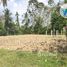 ขายที่ดิน ใน ป่าพะยอม, พัทลุง, ป่าพะยอม, ป่าพะยอม, พัทลุง, ไทย